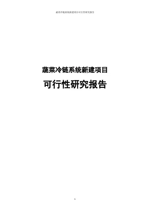 蔬菜冷链系统新建项目可行性研究报告