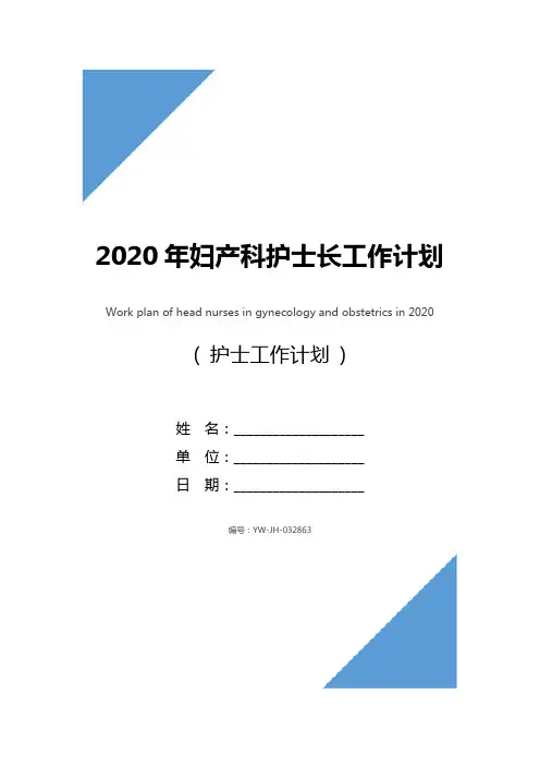 2020年妇产科护士长工作计划