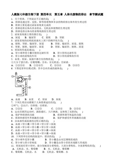 人教七年级生物下册第四单元第五章人体内废物的排出章节测试题
