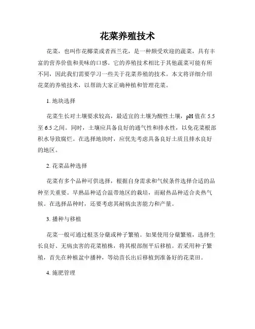 花菜养殖技术