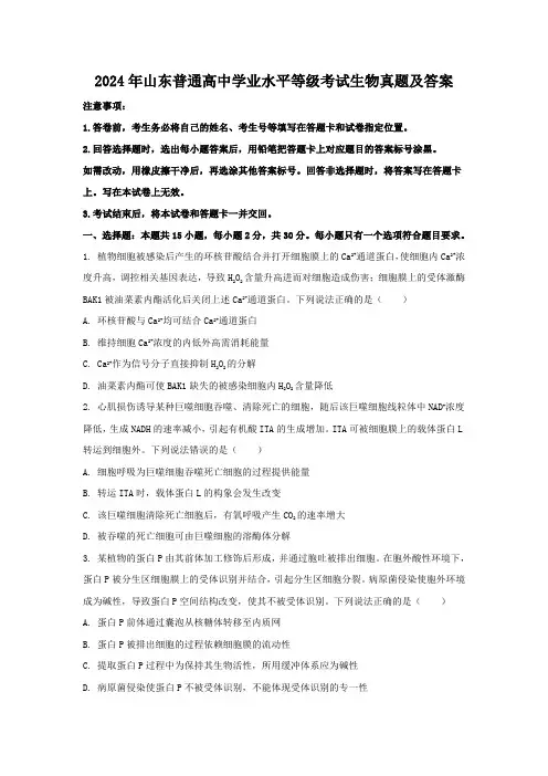 2024年山东普通高中学业水平等级考试生物真题及答案
