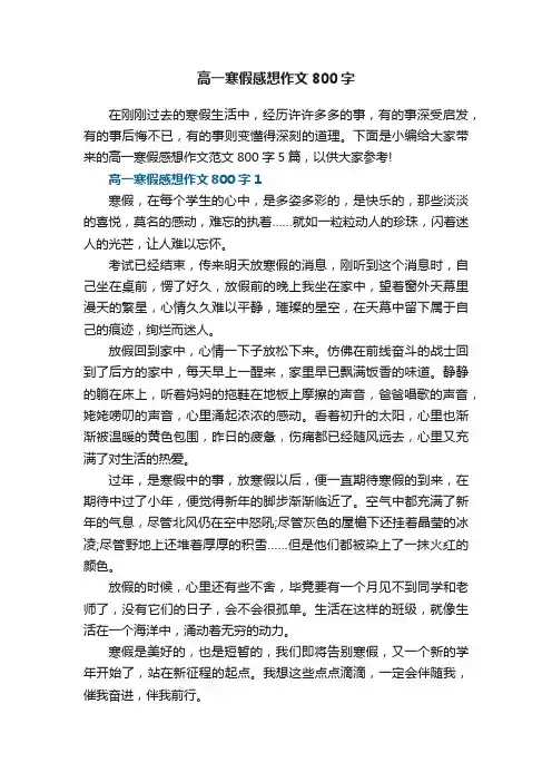 高一寒假感想作文800字