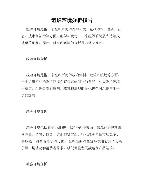 组织环境分析报告