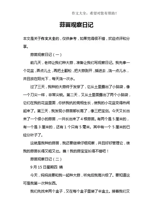 蒜苗观察日记
