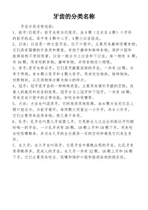 牙齿的分类名称