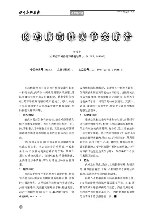 肉鸡病毒性关节炎防治