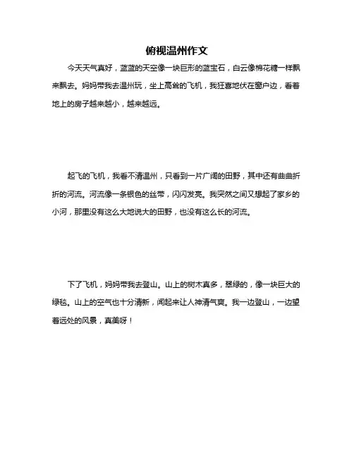 俯视温州作文