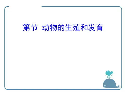《动物的生殖和发育》PPT课件(上课用)