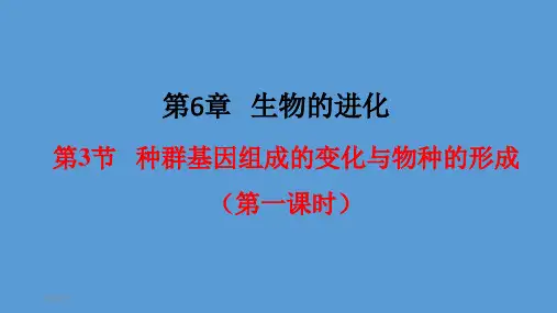 人教版《种群基因组成的变化与物种的形成》教学课件1