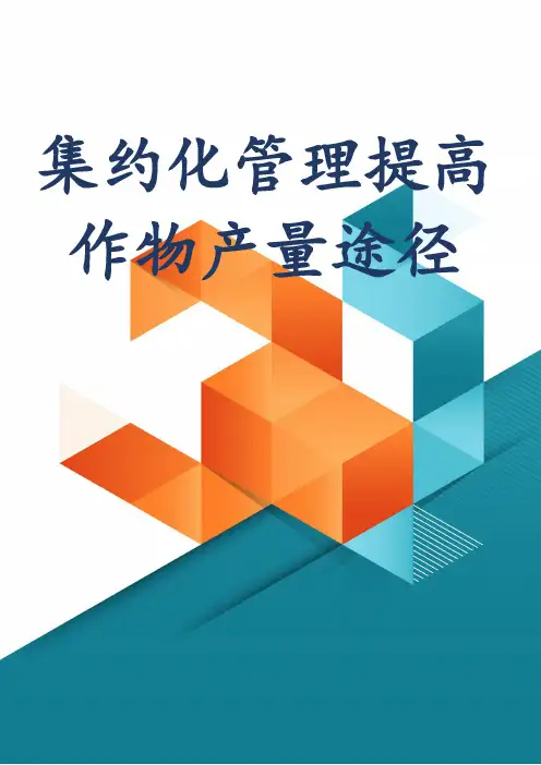 集约化管理提高作物产量途径