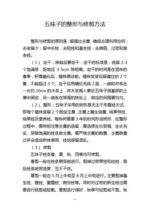 五味子的整形与修剪方法