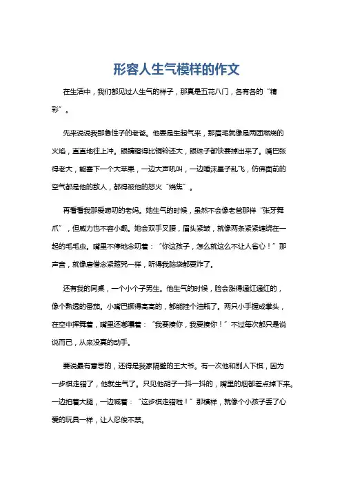 形容人生气模样的作文