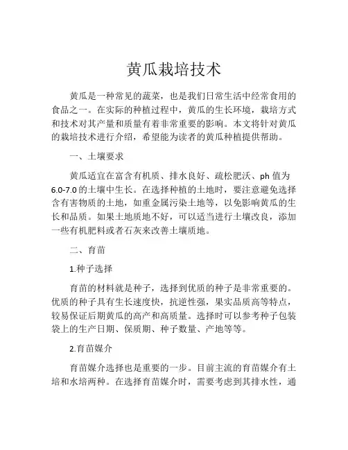 黄瓜栽培技术