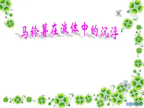 马铃薯在液体中的沉浮课件
