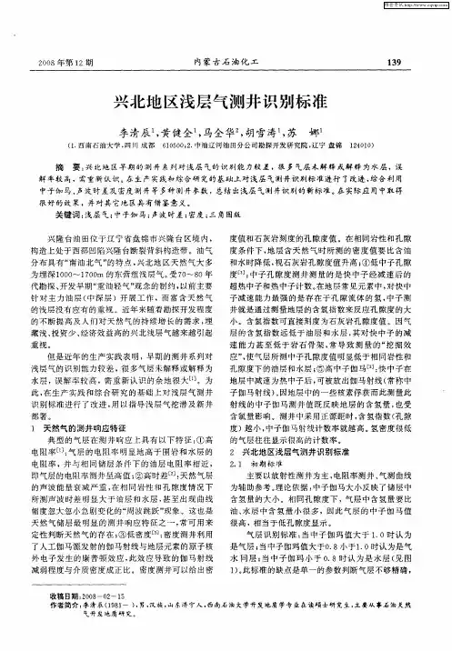 兴北地区浅层气测井识别标准