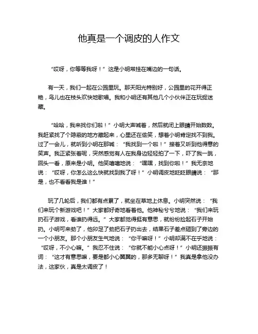 他真是一个调皮的人作文