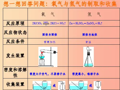 九年级化学上册 第五章 燃料 5.3 二氧化碳的性质和制法 二氧化碳的制取课件 粤教版