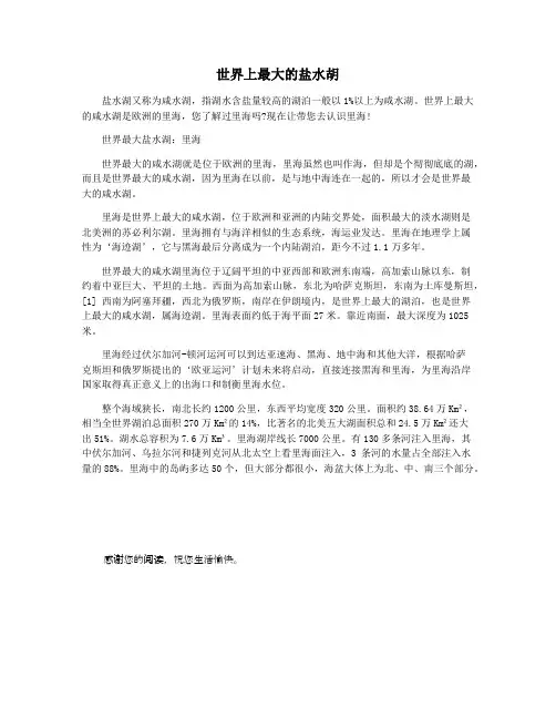 世界上最大的盐水胡