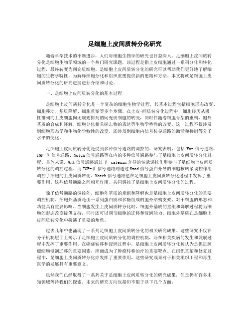 足细胞上皮间质转分化研究