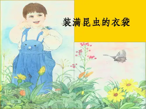 五级上册语文课件-装满昆虫的衣袋｜苏教版ppt文档