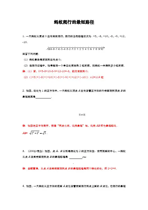 专题训练蚂蚁爬行的最短路径(附附答案解析)