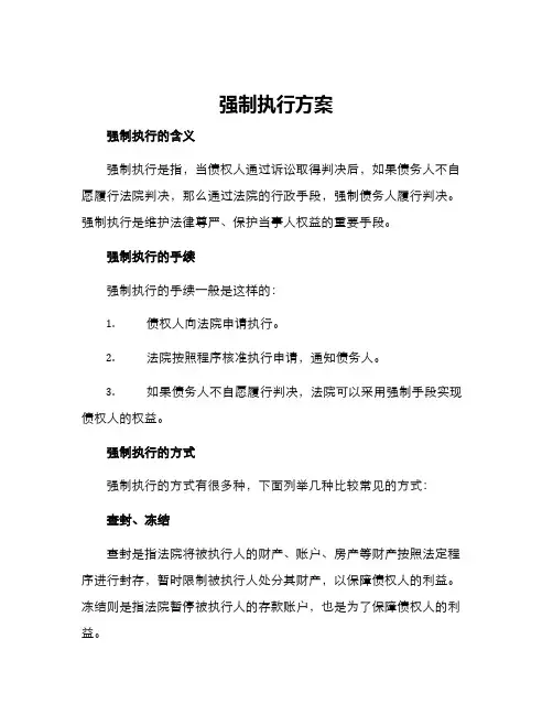 强制执行方案