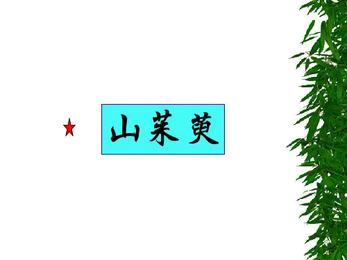 中药药理-2山茱萸-797