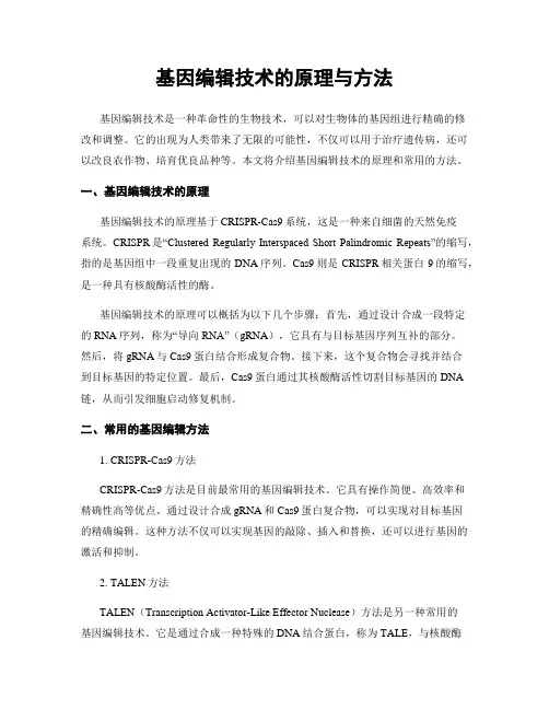 基因编辑技术的原理与方法