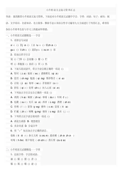 2021年小升初语文总复习资料汇总(全套)