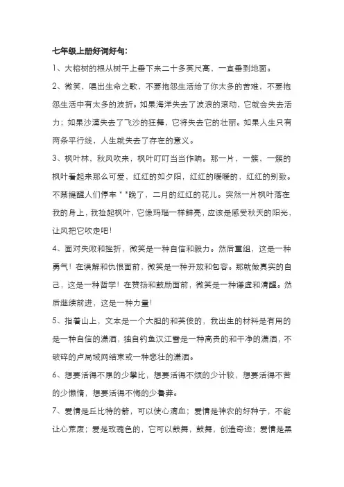 七年级上册好词好句摘抄大全