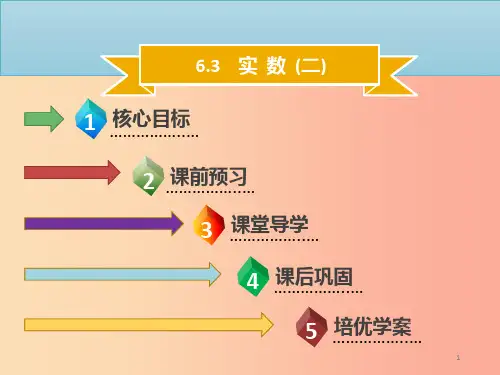 七年级数学下册 第六章 实数 6.3 实数(二)课件  新人教版PPT