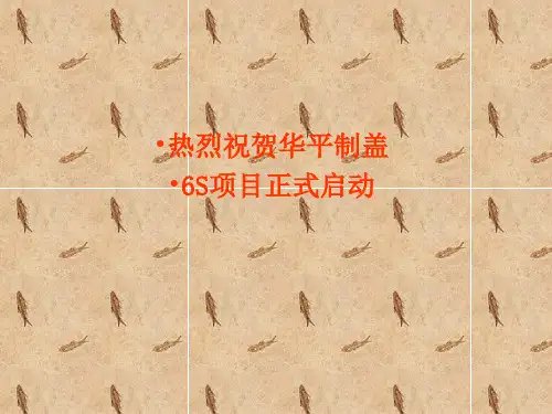 5s启动大会-PPT精选文档