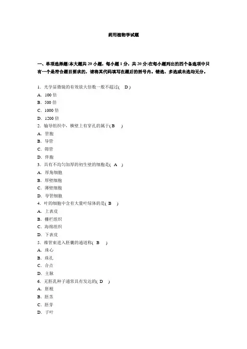 (完整版)药用植物学试题及答案