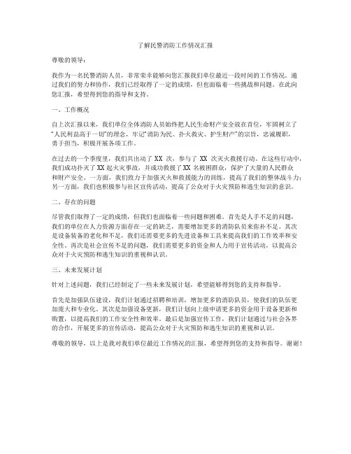 了解民警消防工作情况汇报