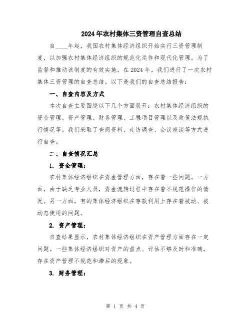 2024年农村集体三资管理自查总结