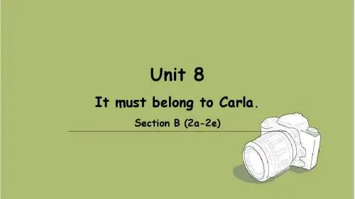 新目标九年级Unit8 Section B(2a-2e)课件ppt
