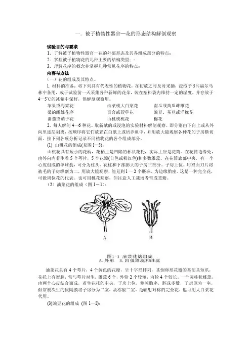 【最新精选】植物胚胎学实验1（花的形态结构解剖观察）