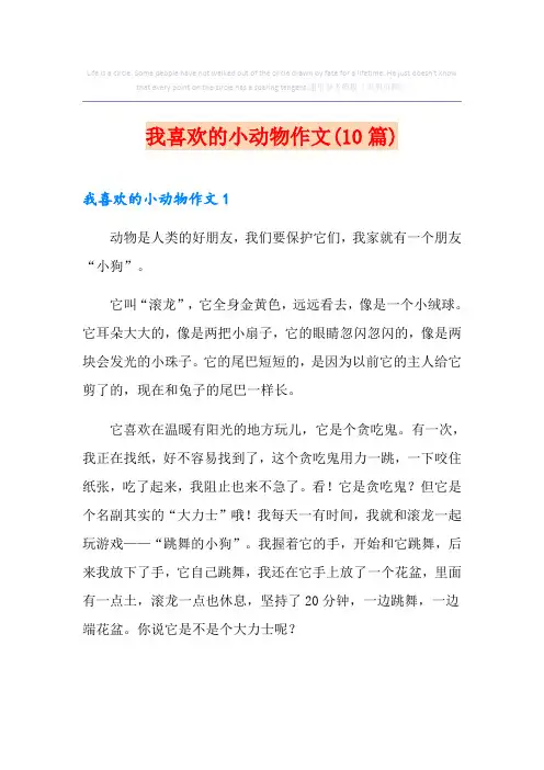 我喜欢的小动物作文(10篇)