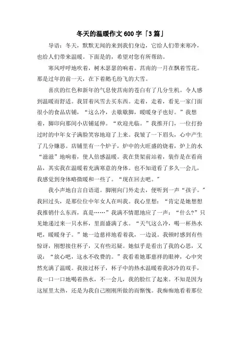 冬天的温暖作文600字「3篇」