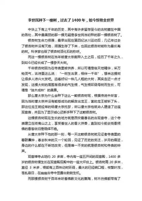 李世民种下一棵树，过去了1400年，如今惊艳全世界