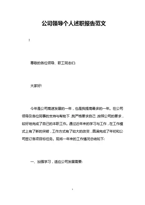 公司领导个人述职报告范文