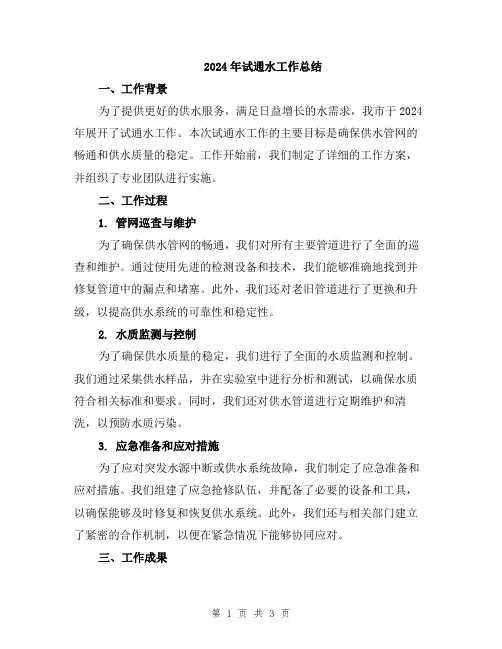 2024年试通水工作总结