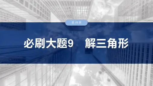 2025年高考数学一轮复习(新高考版) 第4章 必刷大题9 解三角形