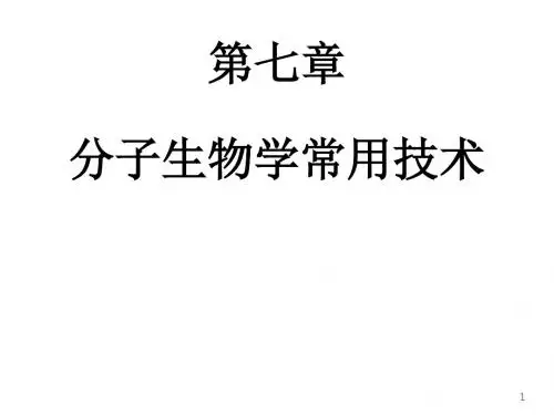 医学分子生物学 7 分子生物学常用技术