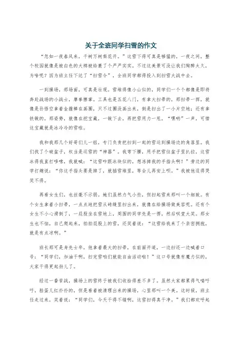 关于全班同学扫雪的作文