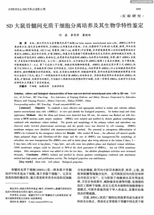 SD大鼠骨髓间充质干细胞分离培养及其生物学特性鉴定
