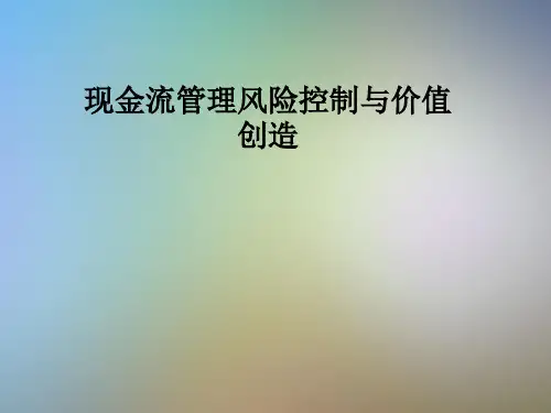 现金流管理风险控制与价值创造