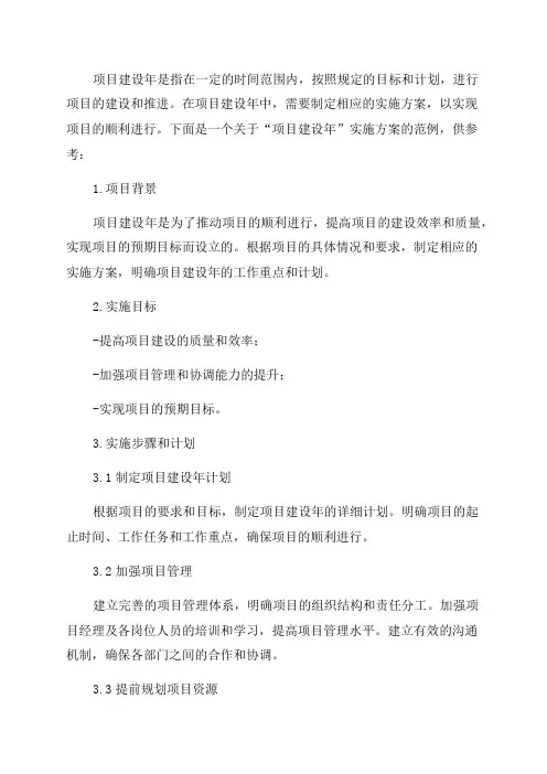 “项目建设年”实施方案