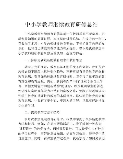 中小学教师继续教育研修总结 2