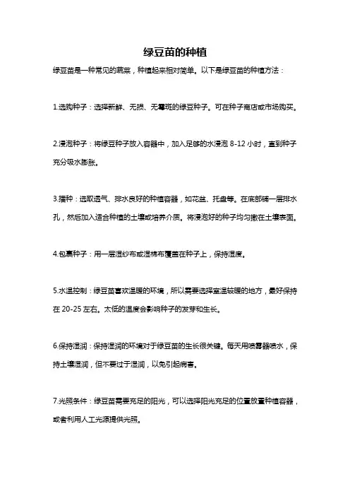 绿豆苗的种植